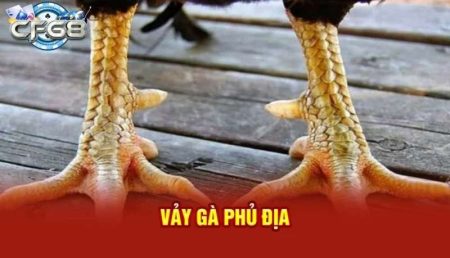 Vảy Gà Phủ Địa - Bí quyết chăm sóc và nuôi dưỡng