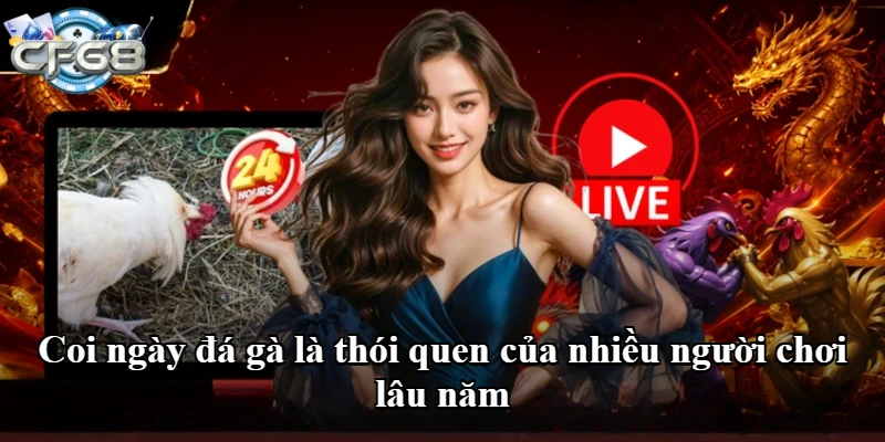 Coi ngày đá gà là thói quen của nhiều người chơi lâu năm