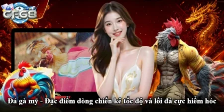 Đá gà mỹ - Đặc điểm dòng chiến kê tốc độ và lối đá cực hiểm hóc