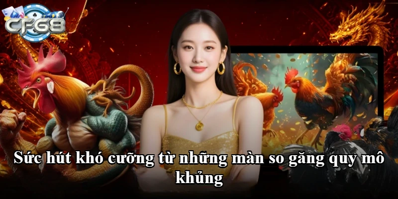 Sức hút khó cưỡng từ những màn so găng quy mô khủng