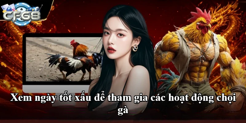 Xem ngày tốt xấu để tham gia các hoạt động chọi gà